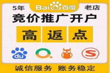 百度竞价SEM深度解析：某行业成功推广经验